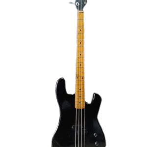 Giannini Precision Roger Waters